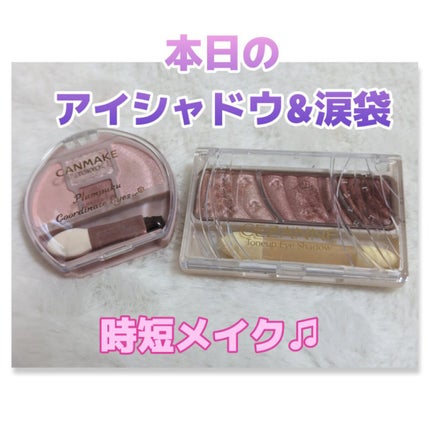 トーンアップアイシャドウ/CEZANNE/アイシャドウパレットを使ったクチコミ(1枚目)