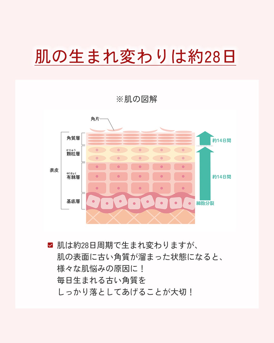 ネイチャーコンク 薬用クリアローション/ネイチャーコンク/拭き取り化粧水を使ったクチコミ(2枚目)