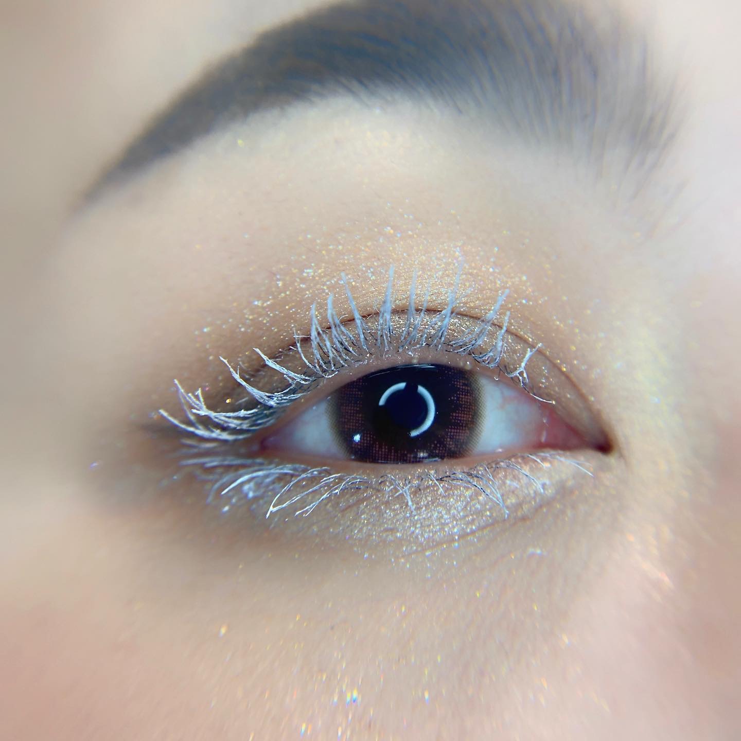 エクスプローラ12色 動物アイシャドウパレット/PERFECT DIARY/アイシャドウパレットを使ったクチコミ（2枚目）