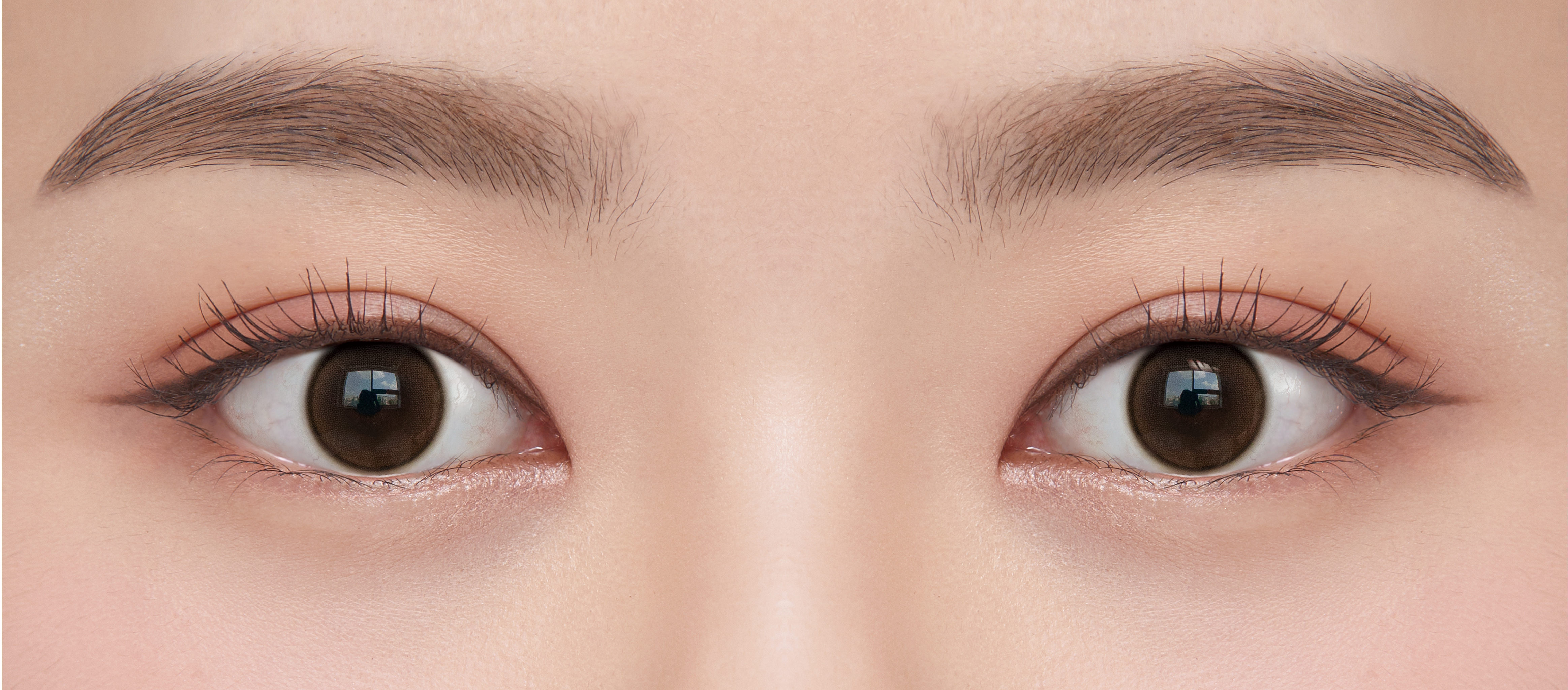 ShineTouch 1day ミルキーチョコ