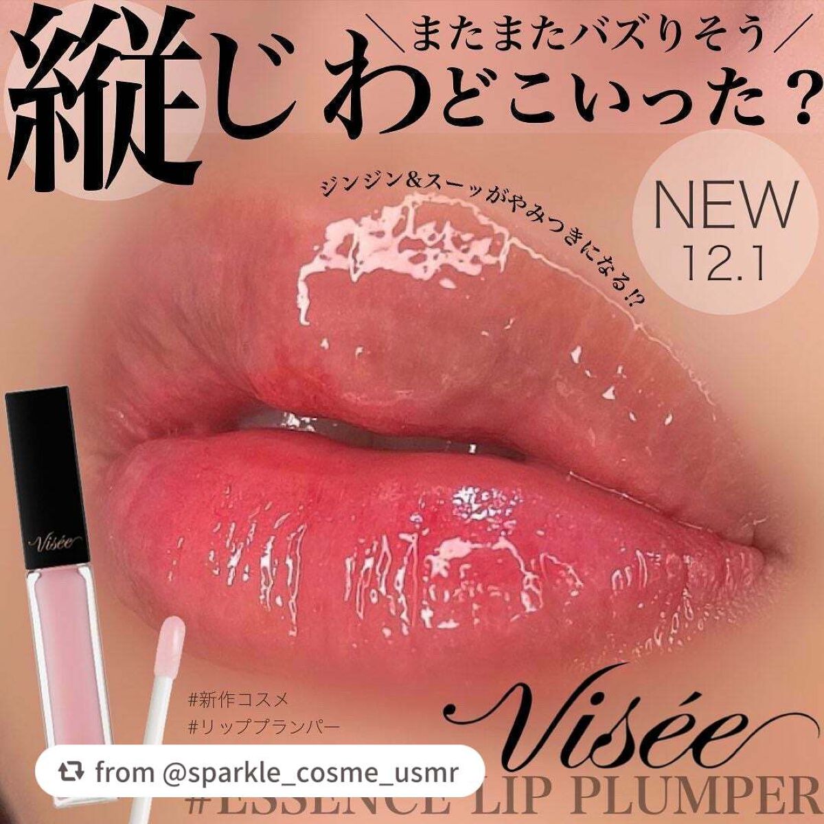 エッセンス リッププランパー/Visée/リッププランパーを使ったクチコミ(1枚目)