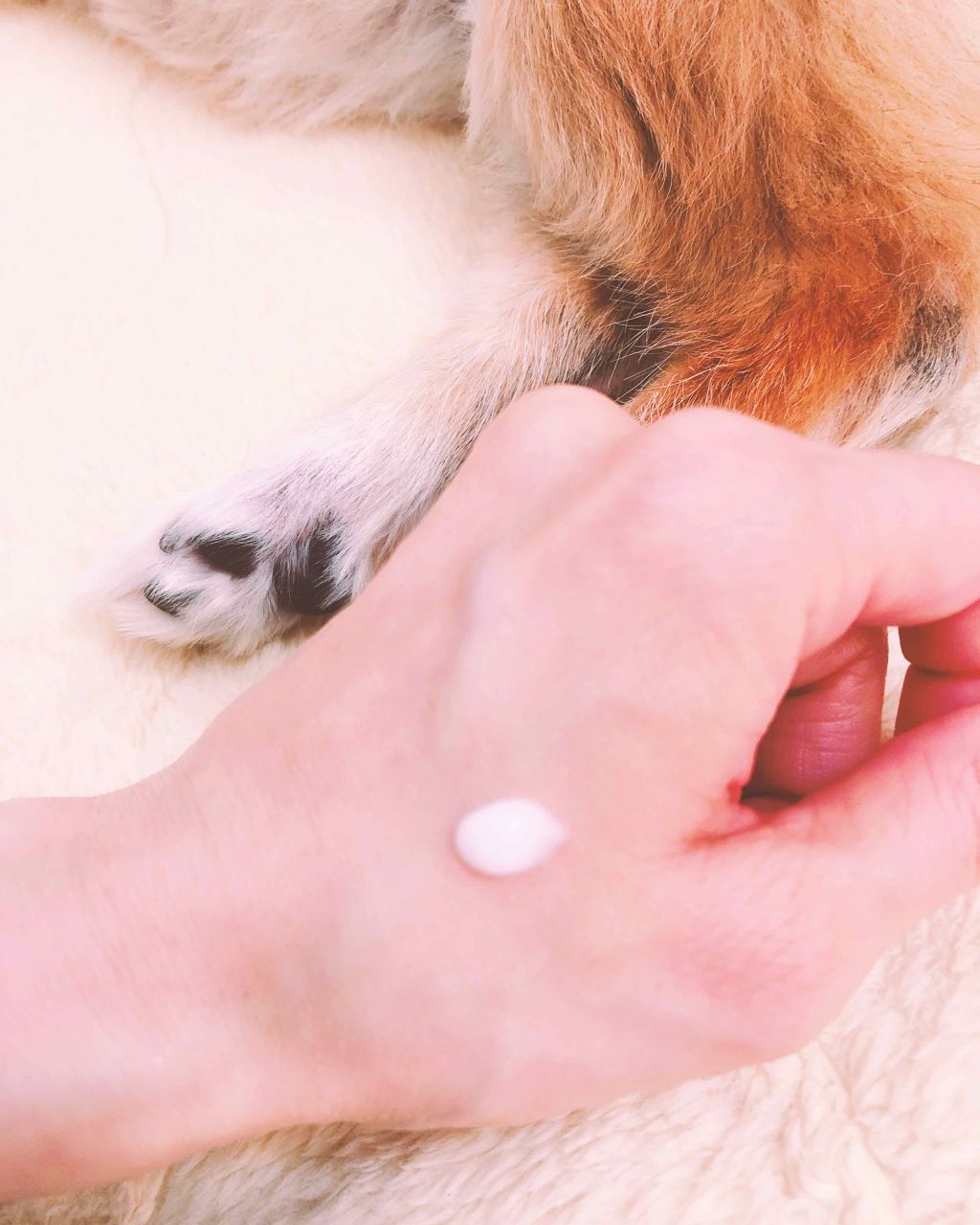 純白専科 すっぴん白雪美容液(専科 薬用美白クリーム)/SENKA(専科)/美容液を使ったクチコミ(3枚目)