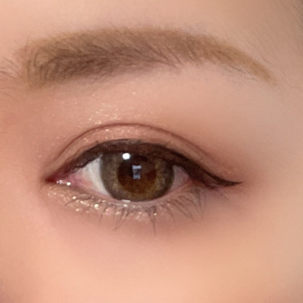 スキニーリッチシャドウ/excel/アイシャドウパレットを使ったクチコミ(2枚目)