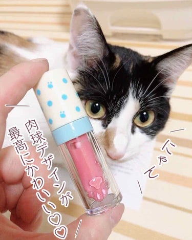 BABY CAT リクイドブラッシュ #蜜桃金閃(ゴールデンピーチ)/FlowerKnows/ジェル・クリームチークを使ったクチコミ（2枚目）