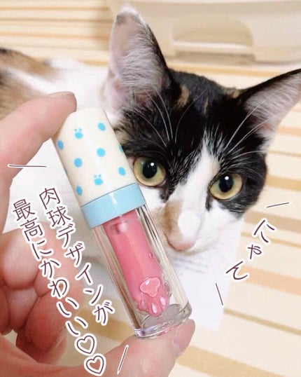 BABY CAT リクイドブラッシュ/FlowerKnows/リキッドチークを使ったクチコミ(2枚目)