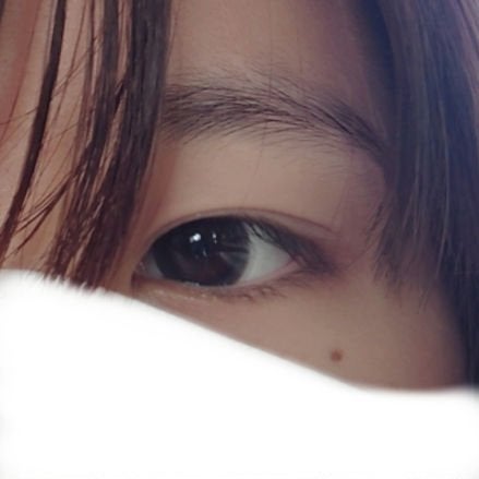 ReVIA CIRCLE 1day/ReVIA/ワンデー(1DAY)カラコンを使ったクチコミ(1枚目)