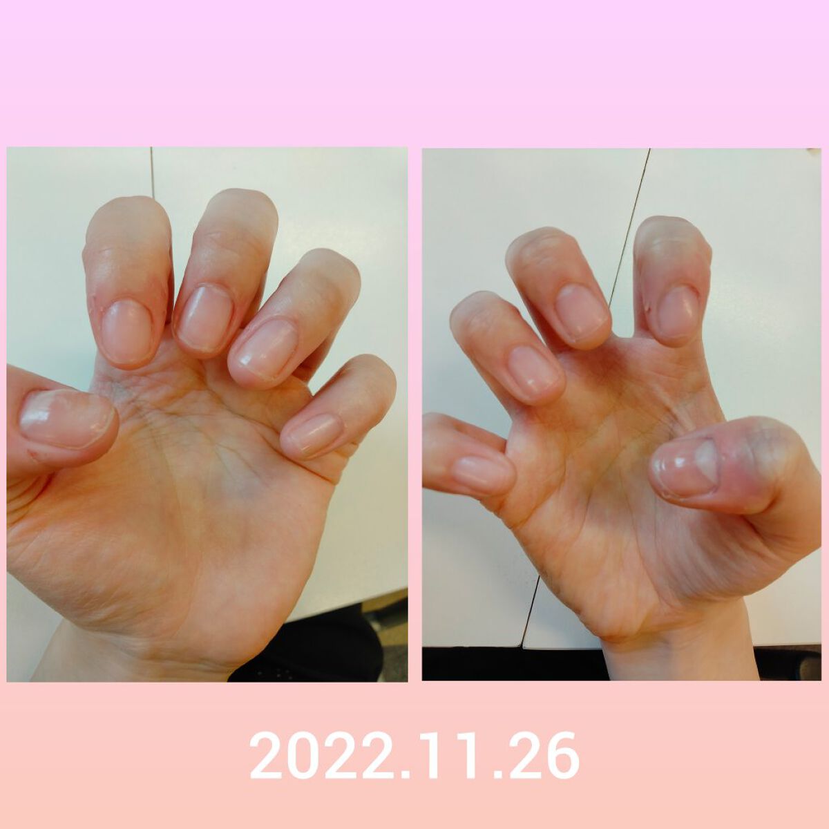 はんどくりーむYZ/よーじや/ハンドクリームを使ったクチコミ（2枚目）