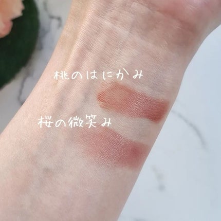 ネンマクフェイク ルージュ/Visée/口紅を使ったクチコミ(4枚目)