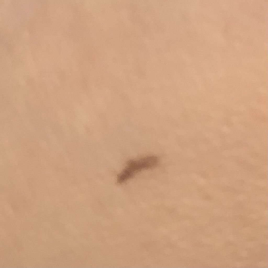 メルティシャープ ジェルライナー/Visée/ジェルアイライナーを使ったクチコミ（3枚目）