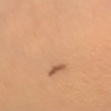 Visée メルティシャープ ジェルライナーのクチコミ「Viséeリシェ メルティシャープ ジェルライナーBR320
今回はViséeリシェ メル.....」(3枚目)