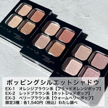 ケイト ポッピングシルエットシャドウ/KATE/アイシャドウパレットを使ったクチコミ(4枚目)