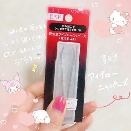アイブローニッパーズ/ファイントゥデイ資生堂/毛抜きを使ったクチコミ(1枚目)