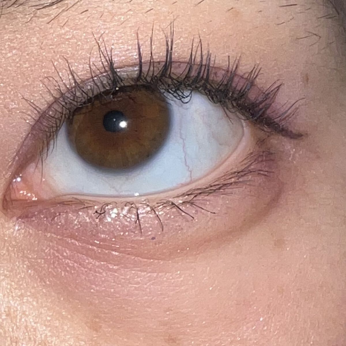 パーマネントカール マスカラ WP（ボリューム） 01 ブラック/FASIO/マスカラを使ったクチコミ（3枚目）