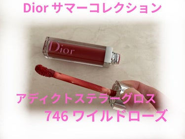 【旧】ディオール アディクト ステラー グロス 746 ワイルド ローズ（生産終了）/Dior/リップグロスを使ったクチコミ（1枚目）