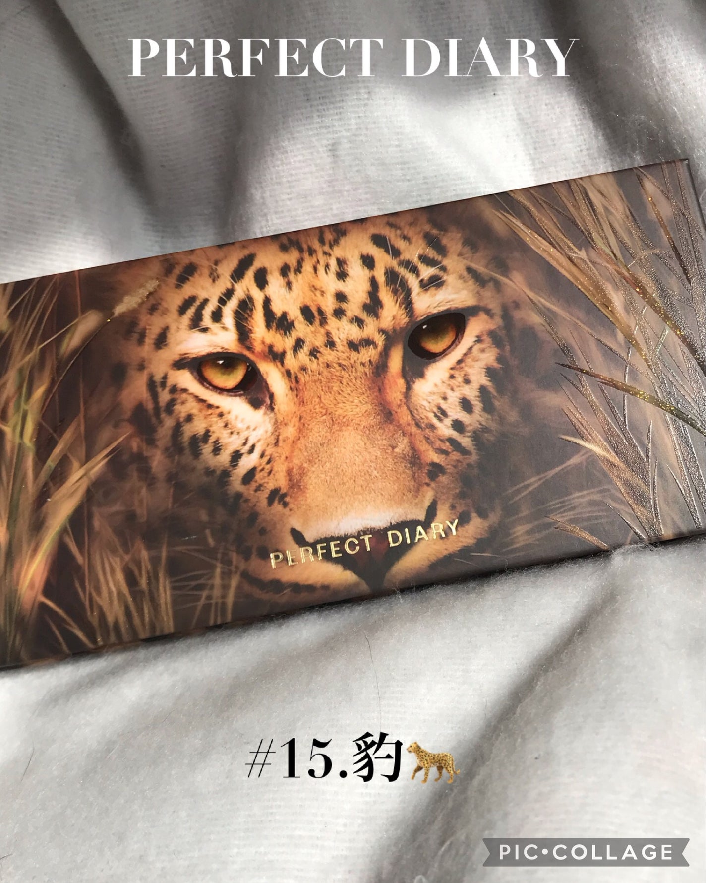 エクスプローラ12色 動物アイシャドウパレット/PERFECT DIARY/アイシャドウパレットを使ったクチコミ(1枚目)