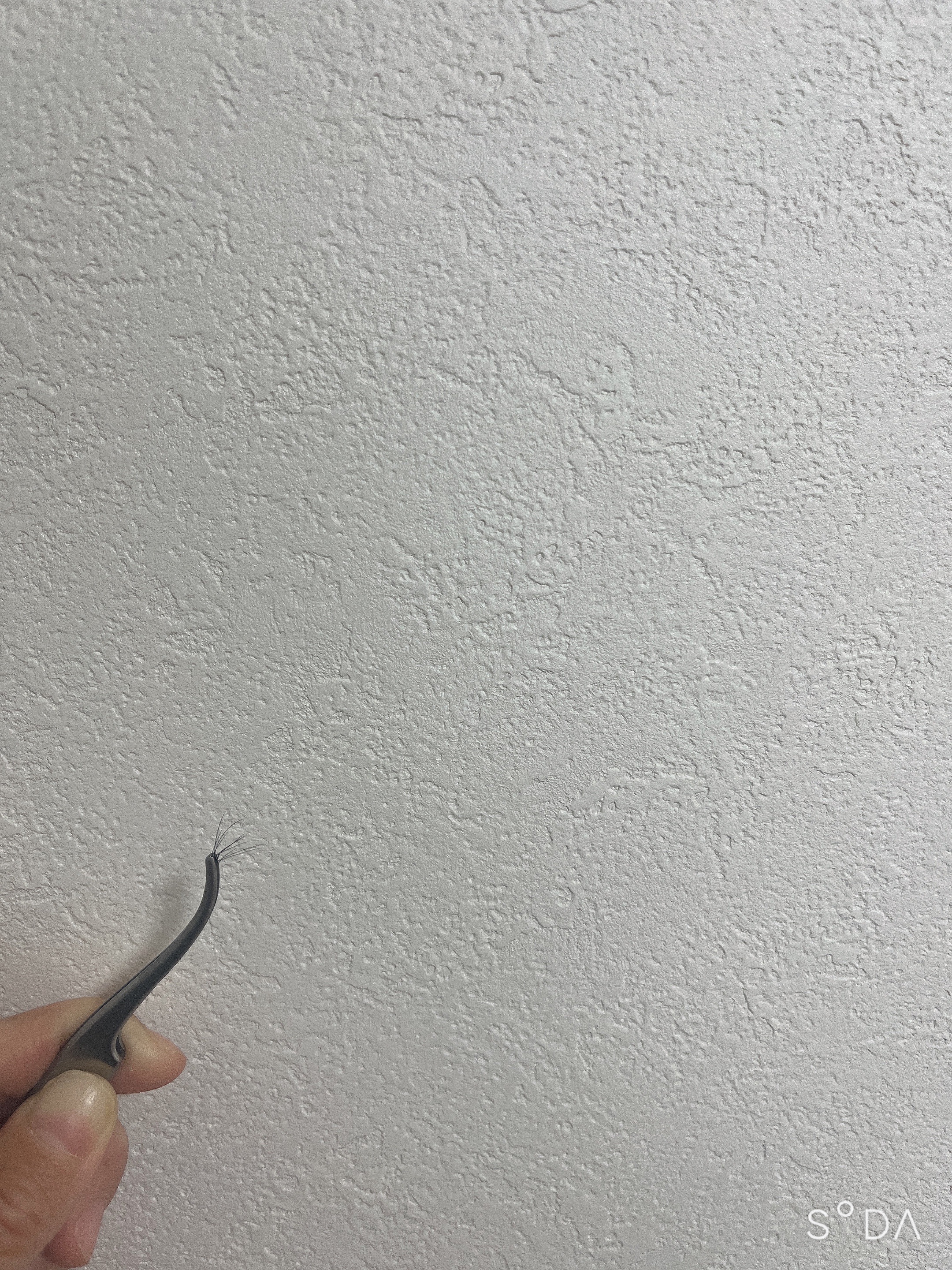 アイラッシュ セルフエクステライン NO.46 フィッシュテールエクステ/ミッシュブルーミン/つけまつげを使ったクチコミ（2枚目）