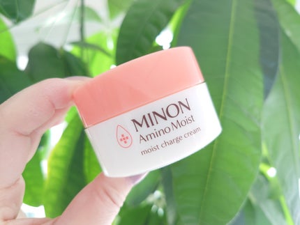 ミノン アミノモイスト モイストチャージ クリーム/ミノン/フェイスクリームを使ったクチコミ(6枚目)
