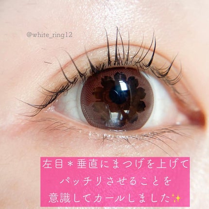 セルフまつ毛パーマキット/シルキーロールズ/その他キットセットを使ったクチコミ(7枚目)