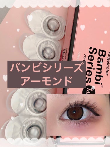 Angelcolor Bambi Series 1day  アーモンド/AngelColor/ワンデー（１DAY）カラコンを使ったクチコミ（1枚目）