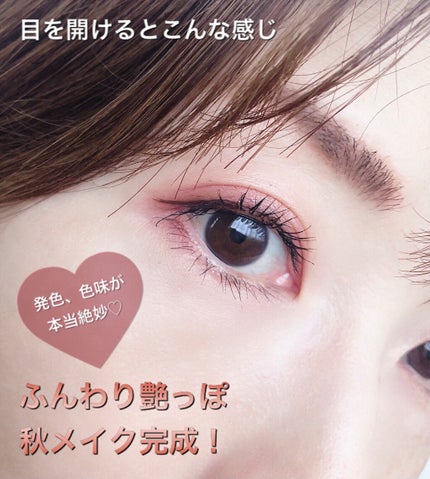 シルキースフレアイズ(マットタイプ)/キャンメイク/アイシャドウパレットを使ったクチコミ(6枚目)