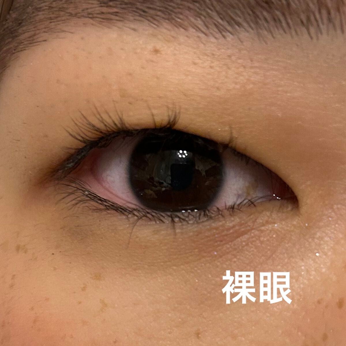 Secretive Kristen/Hapa kristin/カラーコンタクトレンズを使ったクチコミ(4枚目)