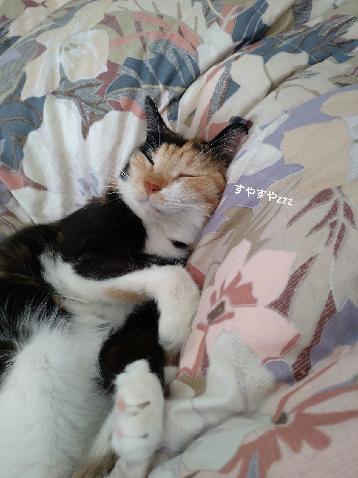 ノーズ&アイブロウパウダー/CEZANNE/パウダーアイブロウを使ったクチコミ(8枚目)