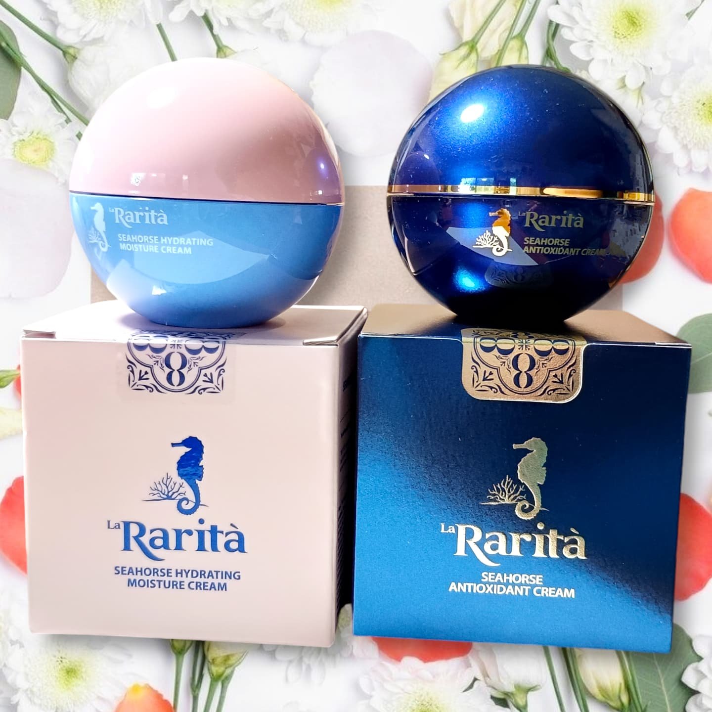  シーホース アンチオキシダントクリーム /Rarita/フェイスクリームを使ったクチコミ（1枚目）