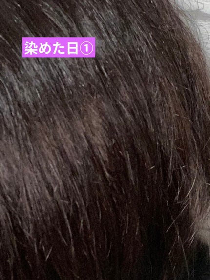 泡カラー/リーゼ/ヘアカラーを使ったクチコミ(2枚目)