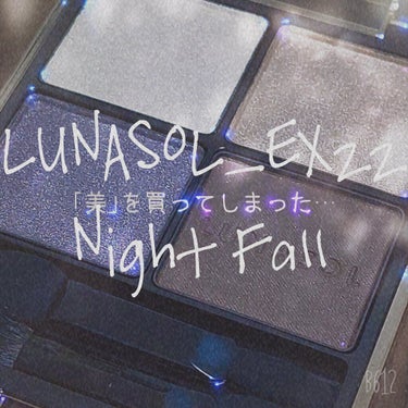 アイカラーレーション EX22 Nightfall（限定発売）/LUNASOL/アイシャドウパレットを使ったクチコミ（1枚目）