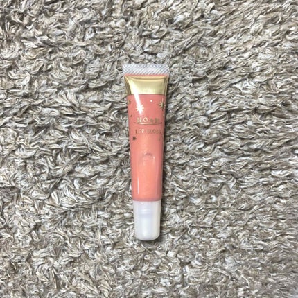 リップグロス/ノア/リップグロスを使ったクチコミ(2枚目)