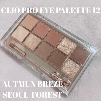 プロ アイ パレット/CLIO/アイシャドウパレットを使ったクチコミ(1枚目)