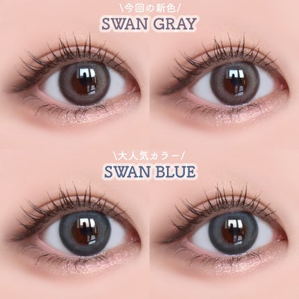 Angelcolor Bambi Series 1day /AngelColor/ワンデー(1DAY)カラコンを使ったクチコミ(3枚目)