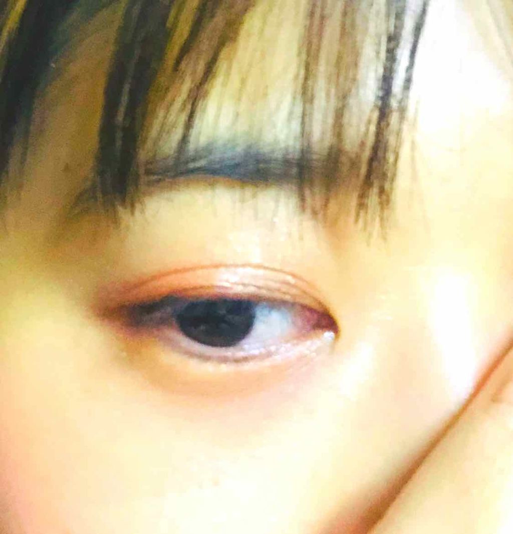 グラデーションアイシャドウ/NOVO/スティックアイシャドウを使ったクチコミ(4枚目)