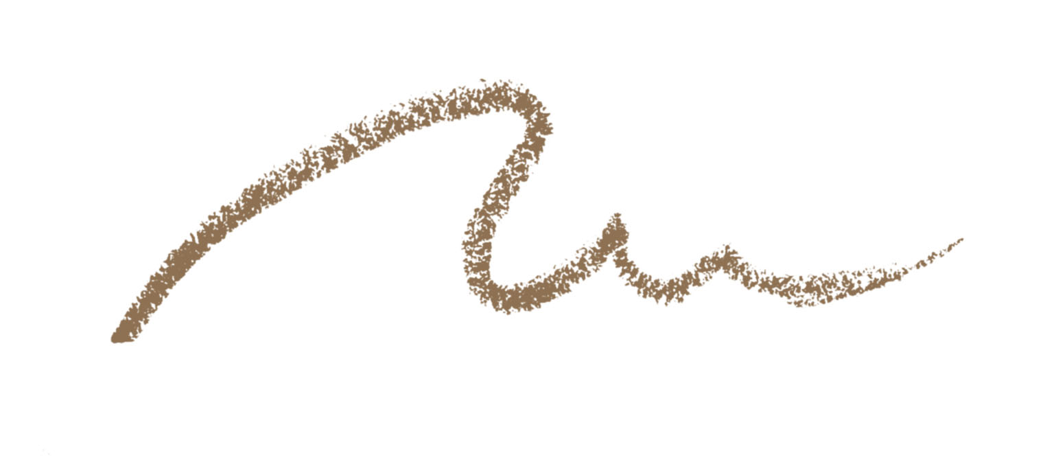 アナ スイ アイブロウ ペンシル 500