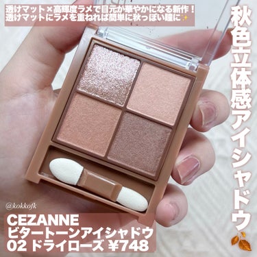 チークブラッシュ/CEZANNE/パウダーチークを使ったクチコミ（2枚目）