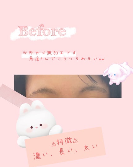 フジコ眉ティントSV/Fujiko/眉ティントを使ったクチコミ(3枚目)