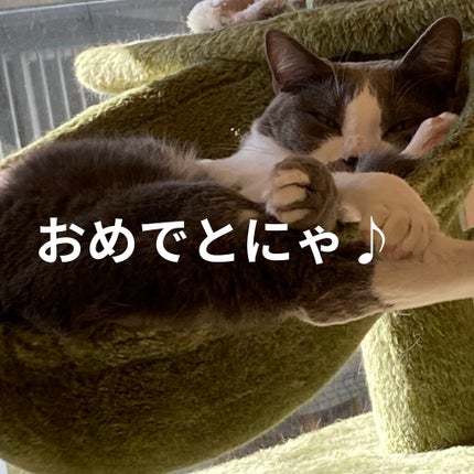 ミニネイル/パラドゥ/マニキュアを使ったクチコミ(6枚目)