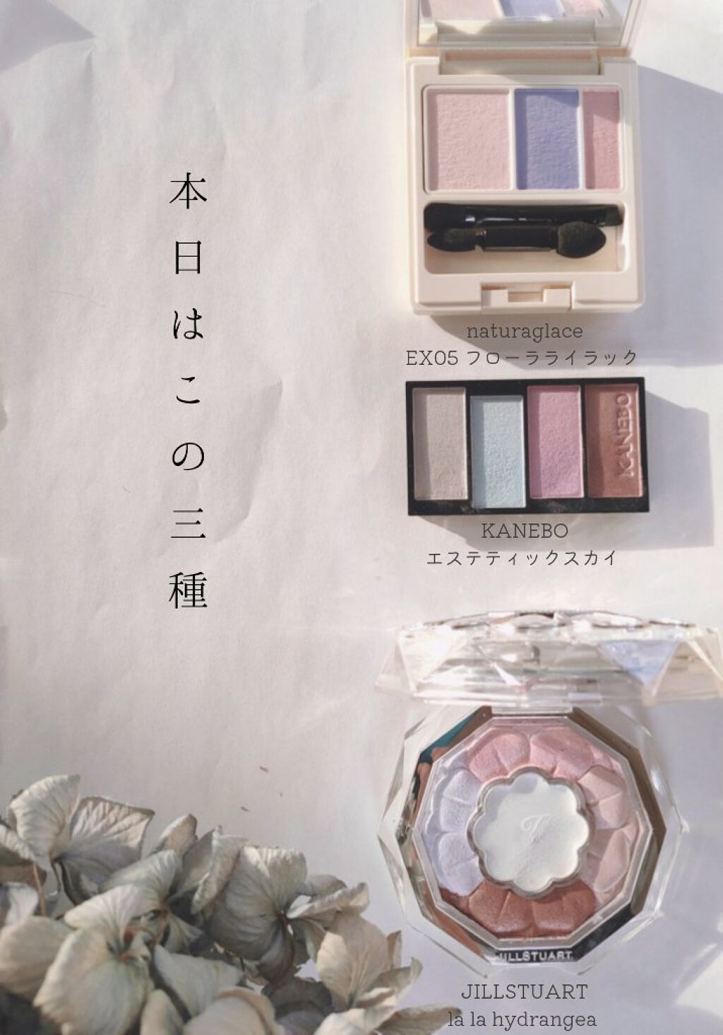 アイパレット/ナチュラグラッセ/アイシャドウパレットを使ったクチコミ(2枚目)