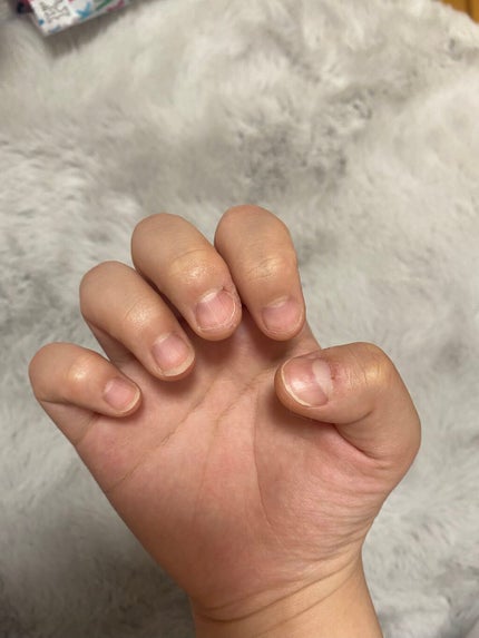 を使ったクチコミ(1枚目)