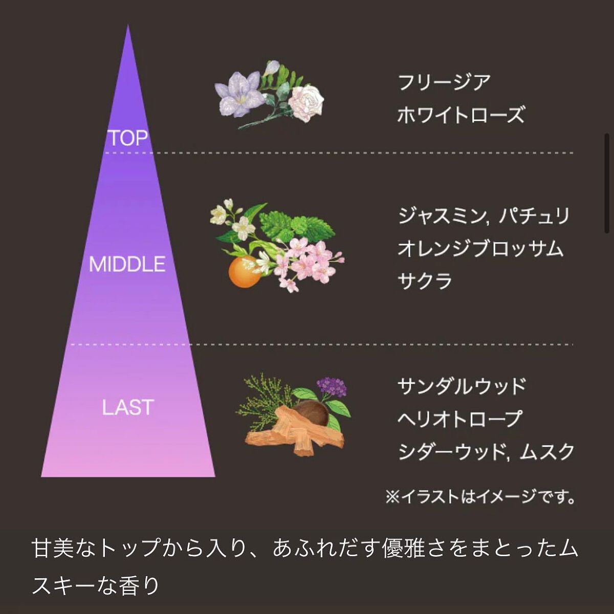 SCENT OF ETERNALオードパルファム/SCENT OF ETERNAL/香水(レディース)を使ったクチコミ(2枚目)