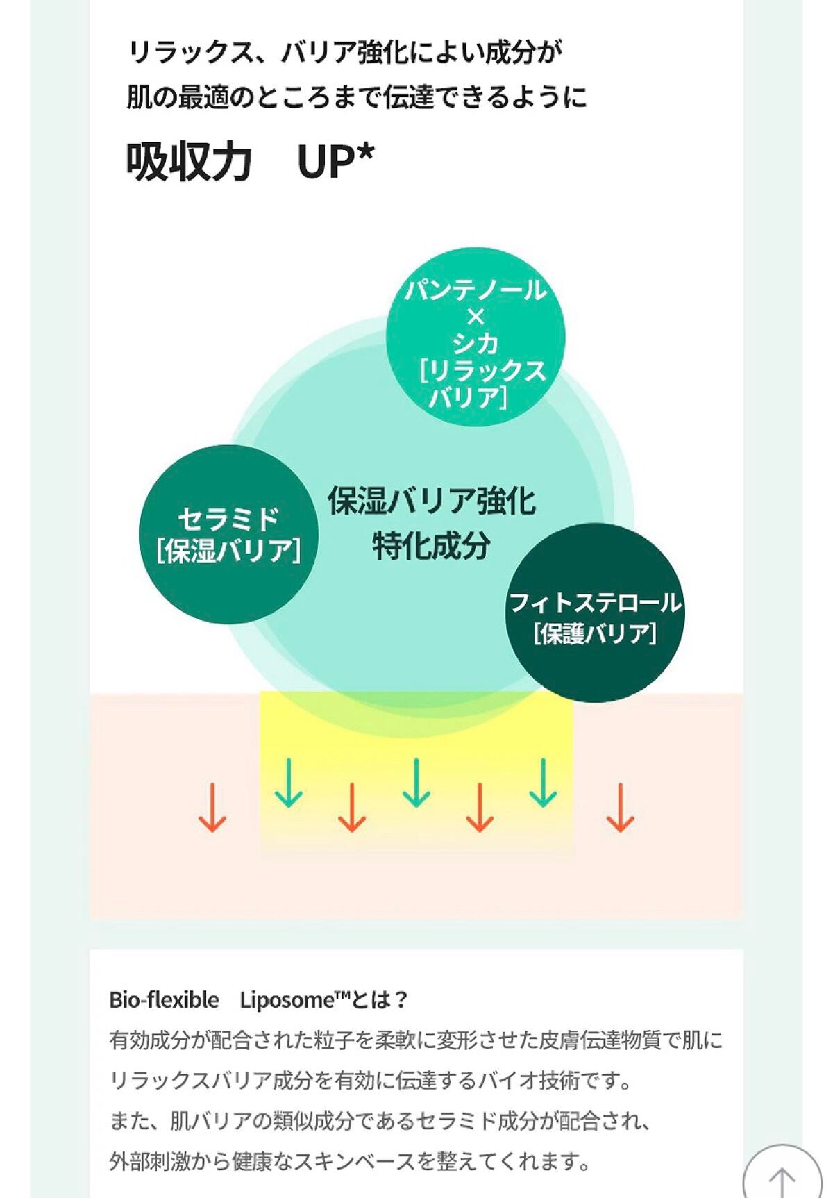 ダーマインテンシブシカパンテノールブラミッシュクリーム/BIOHEAL BOH/フェイスクリームを使ったクチコミ(6枚目)