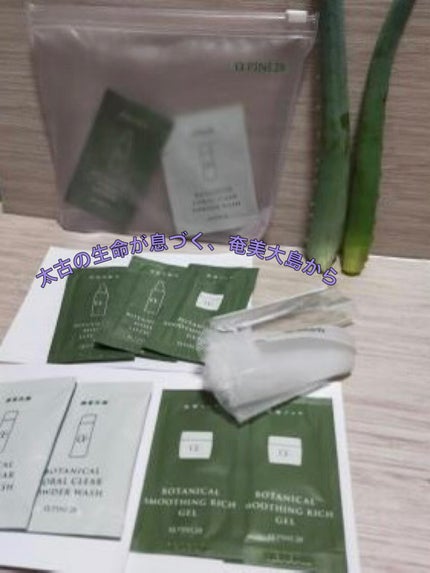 コーラルクリアパウダーウォッシュ/シェルゥーム/洗顔パウダーを使ったクチコミ(1枚目)