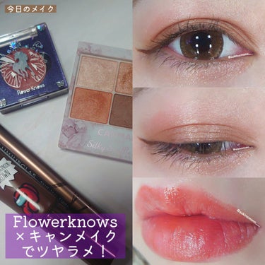 白夜と極夜シリーズシングルアイシャドウ/FlowerKnows/シングルアイシャドウを使ったクチコミ（1枚目）