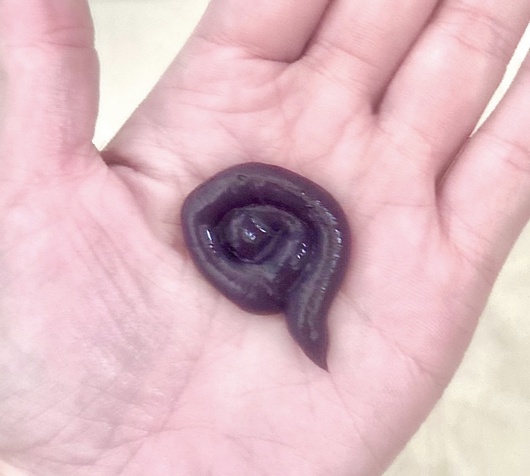 エブリ カラートリートメント/アンナドンナ/ヘアカラーを使ったクチコミ（3枚目）