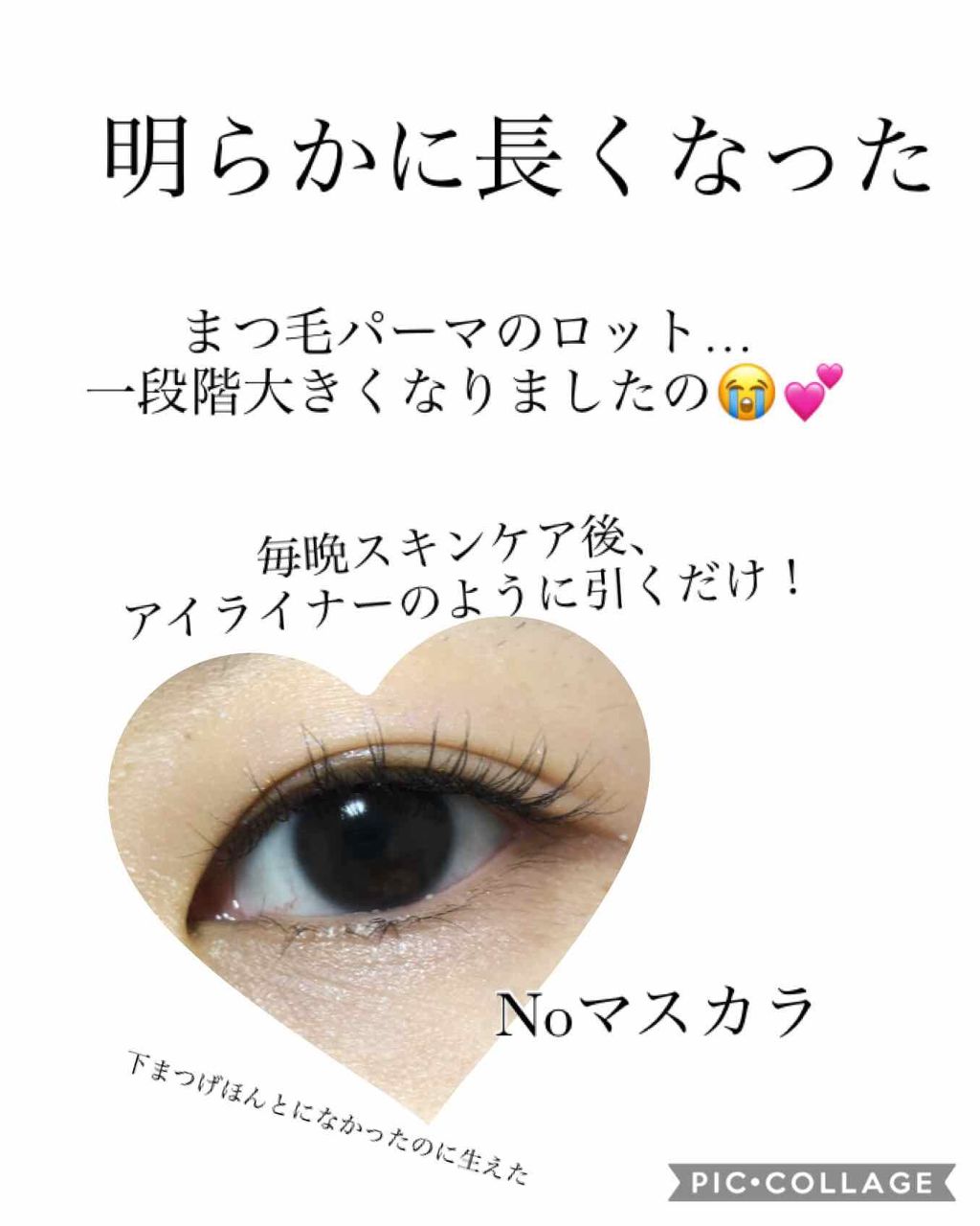 エグータム/アルマダスタイル/まつげ美容液を使ったクチコミ(2枚目)