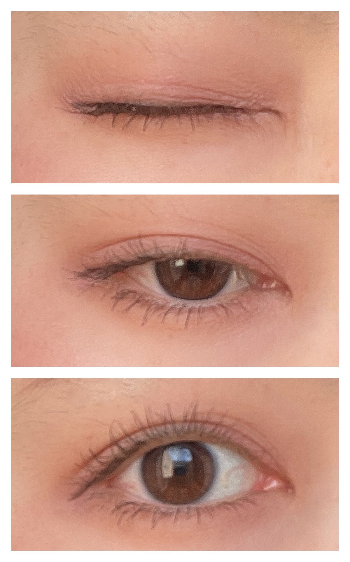 アイプランナー/excel/単色アイシャドウを使ったクチコミ（3枚目）