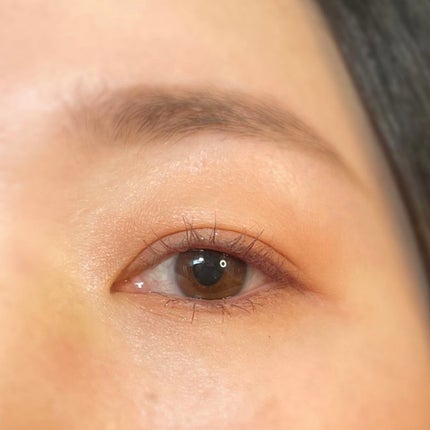 ラスティングマルチアイベース WP/キャンメイク/アイシャドウベースを使ったクチコミ(5枚目)