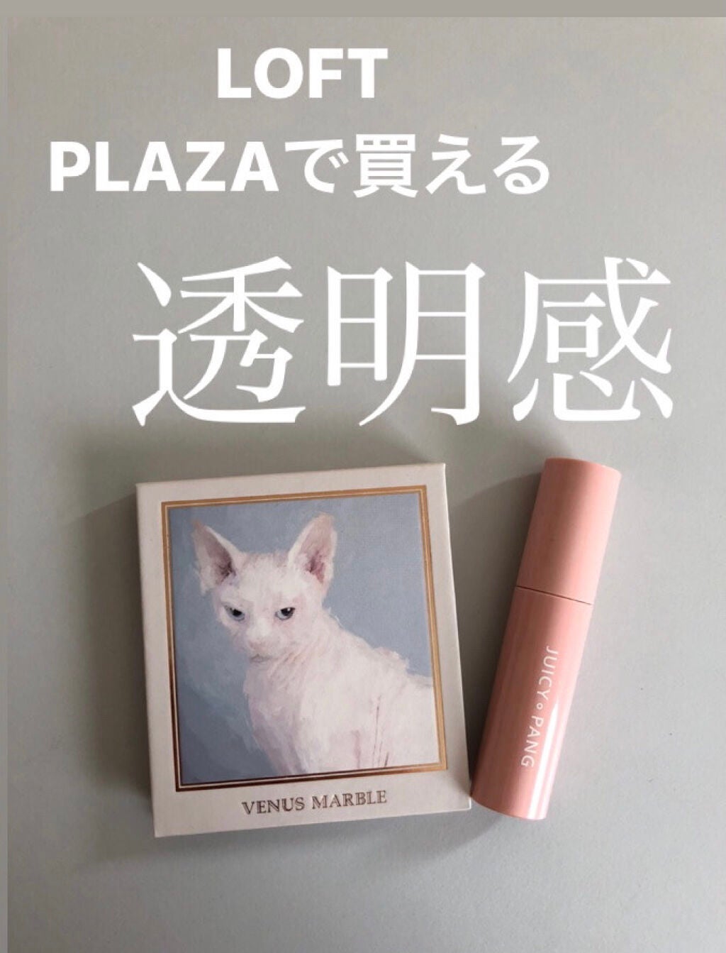 Venus Marble アイシャドウキャットシリーズ/Venus Marble/アイシャドウパレットを使ったクチコミ(1枚目)