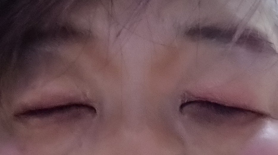 3色マロンアイシャドウパレット/LEEMEMBER/アイシャドウパレットを使ったクチコミ（3枚目）