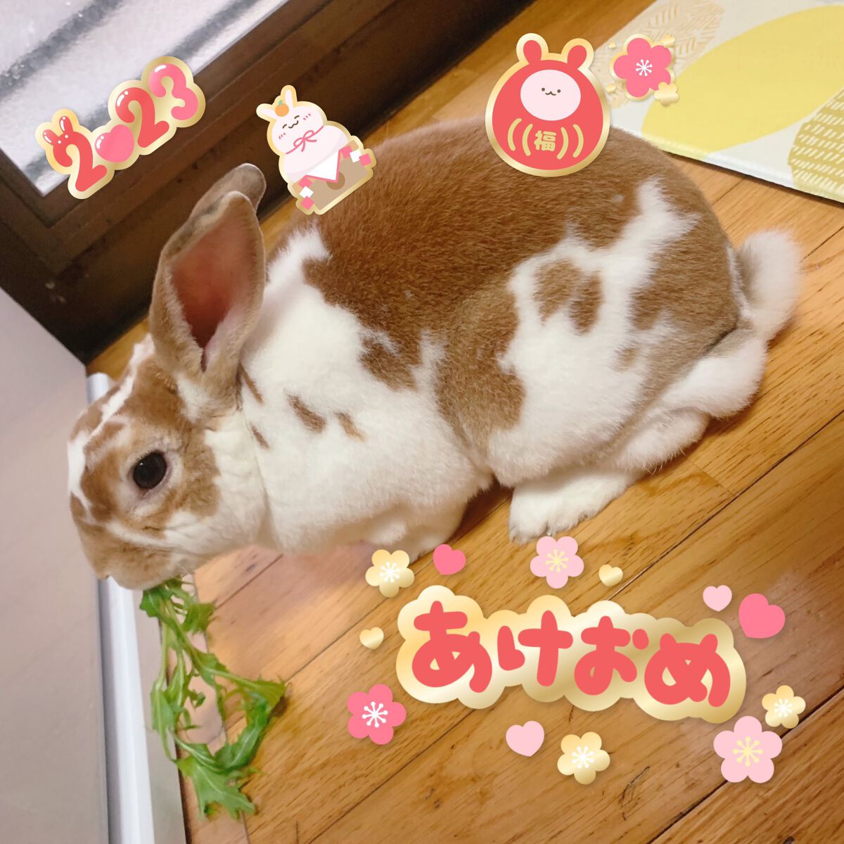 シャドーカスタマイズ/MAJOLICA MAJORCA/単色アイシャドウを使ったクチコミ（3枚目）